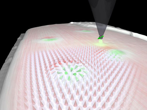 Spinpolarisierte Rastertunnelmikroskopie-Messung eines Skyrmions