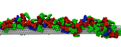 sensor that can recognize riboflavin by coating a carbon nanotube with amphiphilic polymers