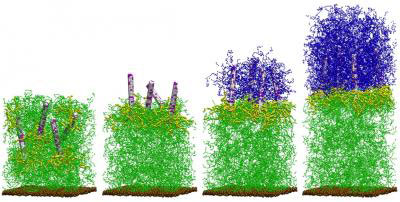Self-Generating Nanocomposite