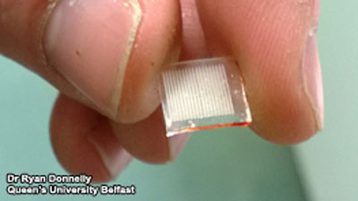 Microneedle patch that could be used for painless drug sampling