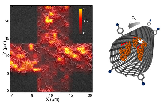 Raman scattering of dye-nanotube particles