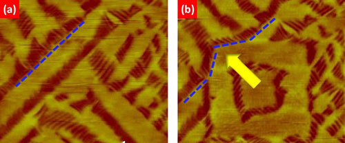 This AFM image shows a recoverable phase transformation in a bismuth ferrite film introduced by an applied electric field