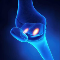 knee joint