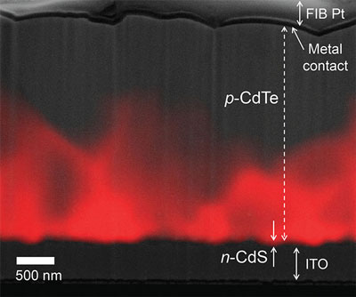 Electron beam induced current (red) superimposed on a scanning electron micrograph (gray)