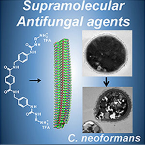 nanofibers with strong antifungal capabilit