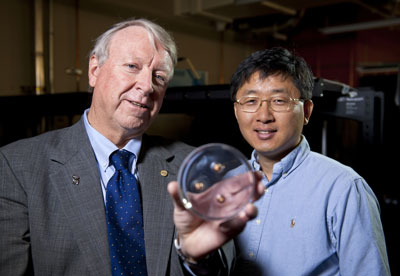 Rice University scientists Ned Thomas (left), dean of the George R. Brown School of Engineering, and Jae-Hwang Lee