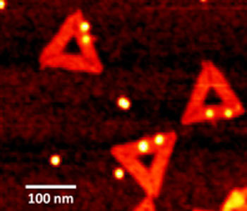This silicon surface is covered with triangular DNA origami each containing two gold nanoparticles
