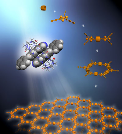 Rigid triangular struts self-assemble in combination with macrocycle rings in solution to create a supramolecular organic framework