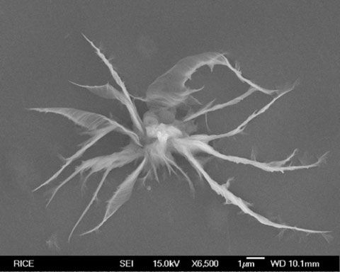 Graphene platelet plugging a nanopore