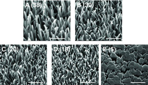 zinc nanorods