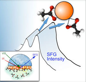Dissociative Binding of Carboxylic Acid Ligand on Nanoceria Surface in Aqueous Solution