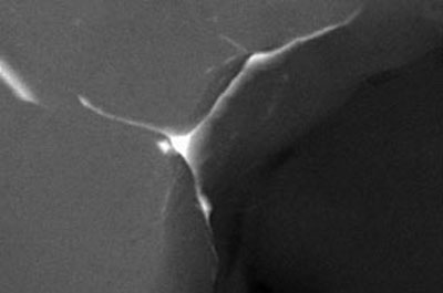 silver fission products congregating in a TRISO fuel particle