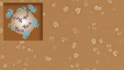 vaccinating nanoparticl