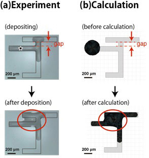 Appearance of ultrapure water droplet deposited by inkjet printing technique