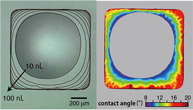 ariation of contact lines (left) and distribution of contact angles