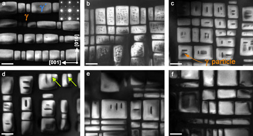 TEM micrographs