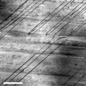 Electron microscopic image of an antiferroelectric crystal, with the dark, prominent diagonal lines marking the boundaries