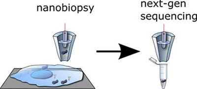 nanobiopsy