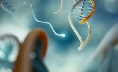 a DNA clamp