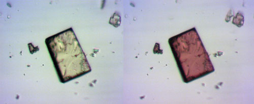sponge-like crystal