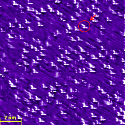 clover-like atomic defects