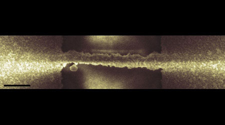 diagnostic test which can detect very small amounts of specific DNA molecules with nanowires