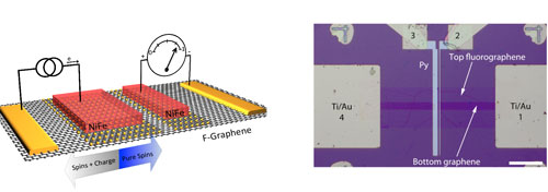  homoepitaxial fluorinated graphene/graphene spin valve device