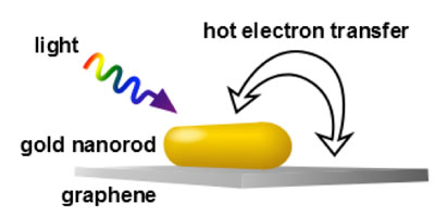 amount of time it takes electrons generated by plasmons in a gold nanorod to transfer to a sheet of graphene