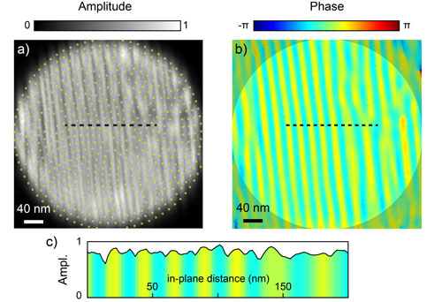 The striped domains of thin film lead titanate (PbTiO3) imaged using x-ray Bragg projection ptychography