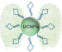 fingerprinting