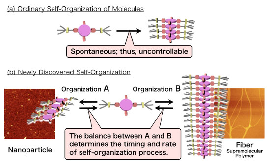 Diagram of self-organization