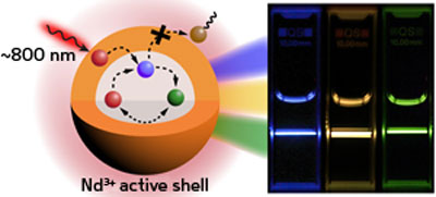 A core–shell nanoparticle can harvest light at biocompatible wavelengths (left) and produce luminescent light