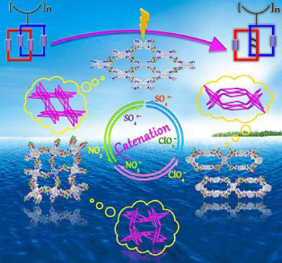 Soft Porous Frameworks