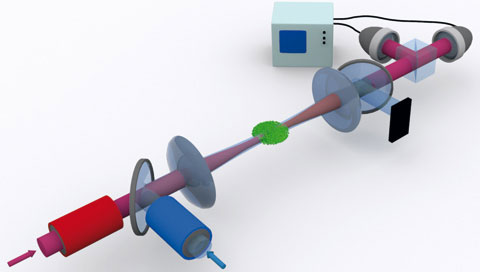 Switching with single photons