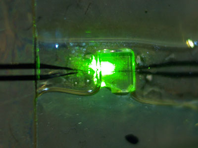 Complete control over a quantum register