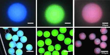 New non-iridescent structural colors cover the whole spectrum