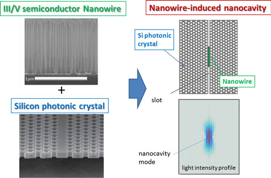 Nanowire and photonic crystal realize a novel optical nanocavity