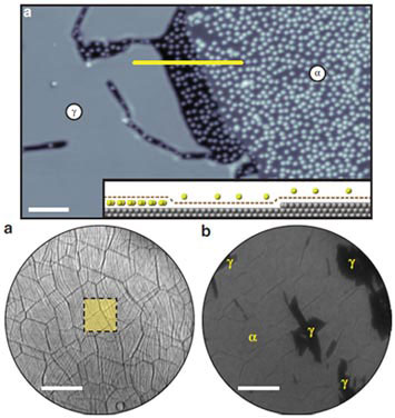 Intercalation of caesium of graphene monolayer on iridium