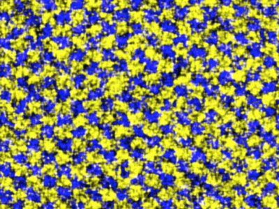 periodic structure of silicatein molecules (yellow) and glass (blue)