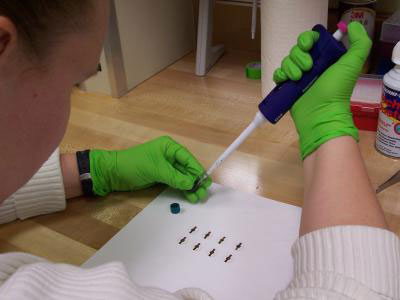minute amounts of the test sample are deposited on quartz crystals
