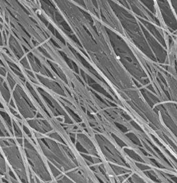 Highly aligned nanofibers