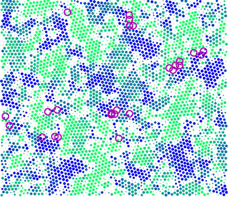 Dots represent particle positions, and circles represent rearrangements