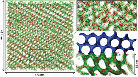 >Electron tomography reconstruction of platinum nanoparticles (red) in network structures