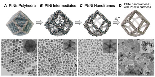 the evolution of platinum/nickel from polyhedra to dodecahedron nanoframes with platinum-enriched skin