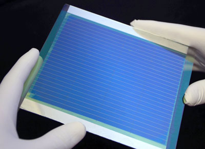 organic solar cell