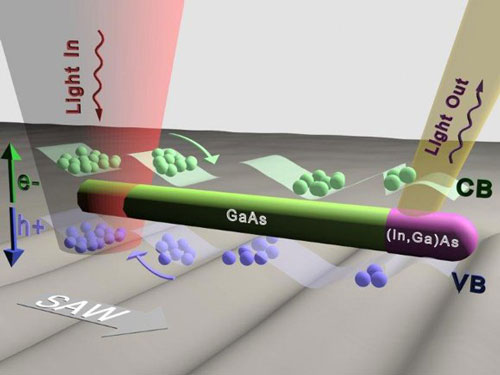 GaAs nanowires with an indium-doped segment at one end were deposited on top of a LiNbO3 surface