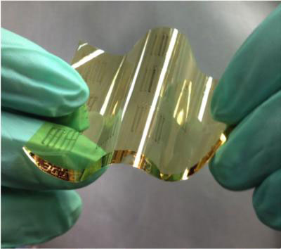 flexible carbon nanotube chip