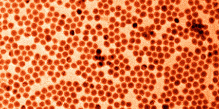 TEM image (false coloured) of monodisperse antimony nanocrystals