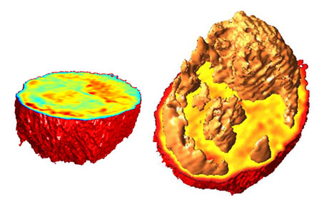 3-D images of living cells based on measurements of their index of refraction