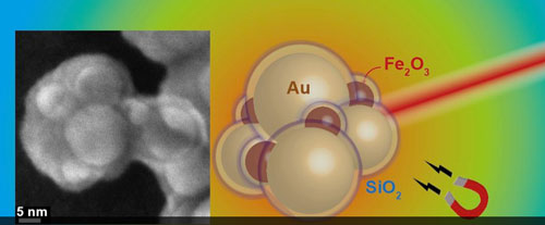 Scheme of gold and iron oxide aggregates with silica shell